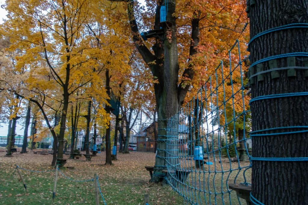 Najlepsze atrakcje w Goczałkowicach-Zdroju, które musisz zobaczyć