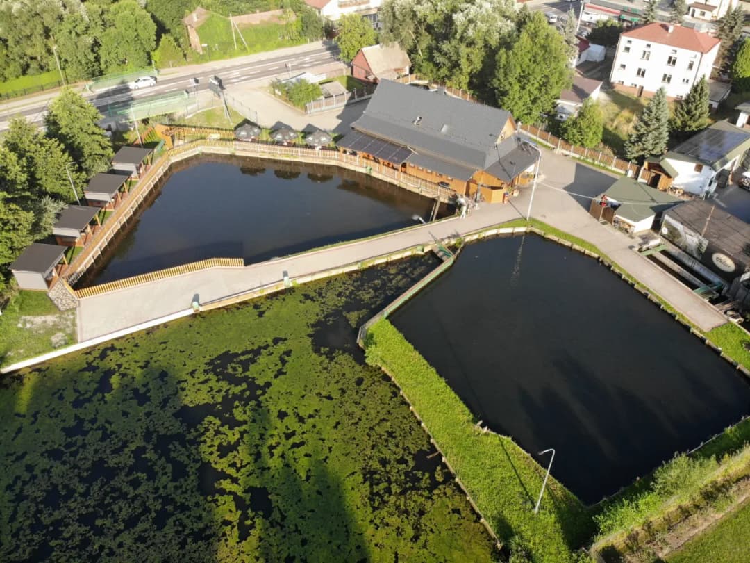 Najlepsze miejsca, gdzie zjeść w Zwierzyńcu – odkryj lokalne smaki