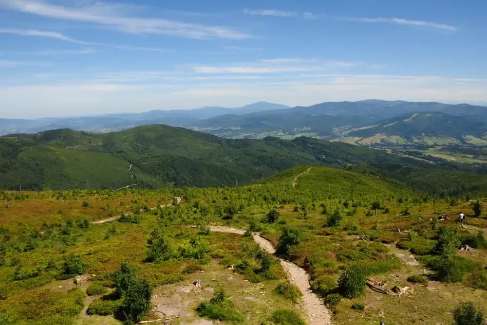 Skąd na Baranią Górę? Odkryj najłatwiejsze trasy i szlaki