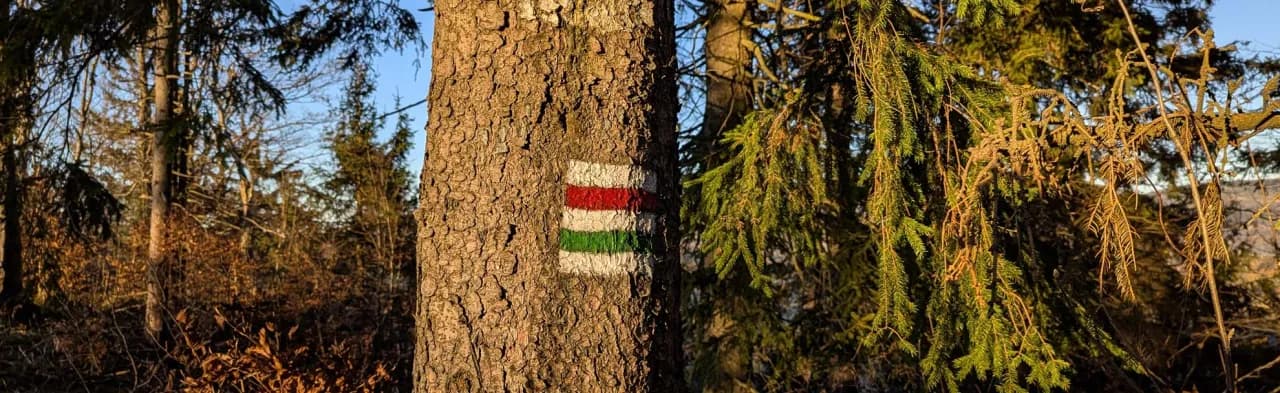 Wielka Sowa którym szlakiem – najkrótsze i najłatwiejsze trasy