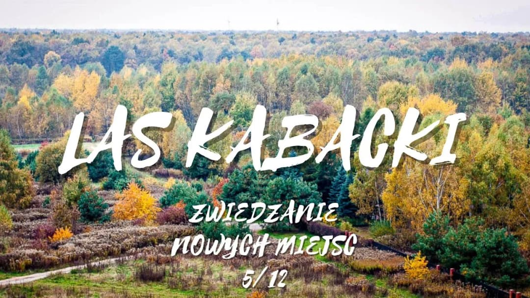 Najlepsze atrakcje w Lesie Kabackim – odkryj tajemnice natury